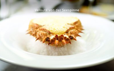 Bistro-Fatal_Veloute-von-der-Seespinne 1920