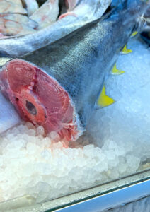 Gelbflossenthunfisch - Yellowfin tuna
